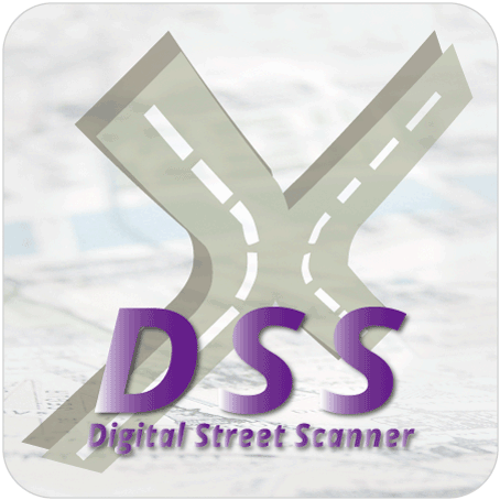 logo_dss_rev02_web_2x.gif