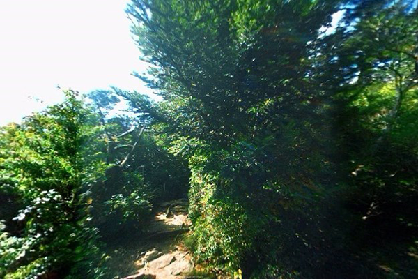 登山道/遊歩道調査